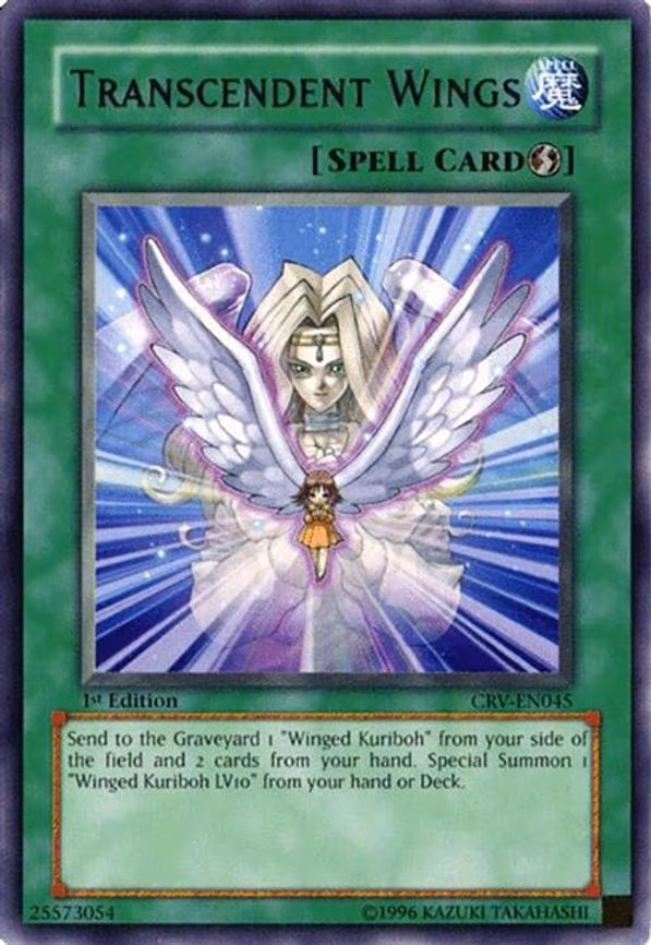 Transcendent Wings