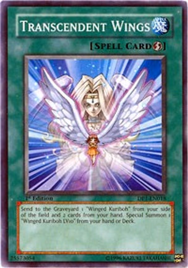 Transcendent Wings