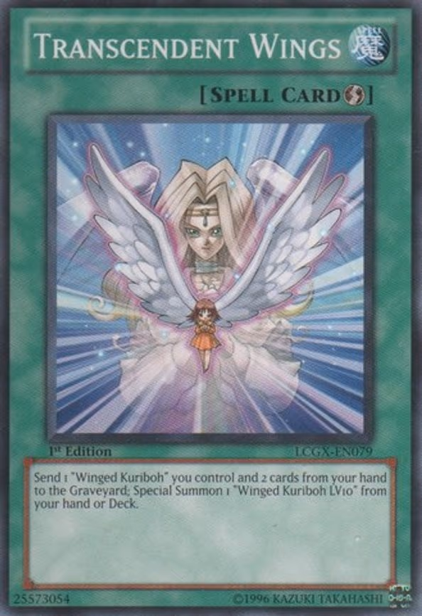 Transcendent Wings