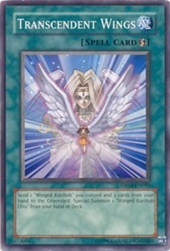 Transcendent Wings