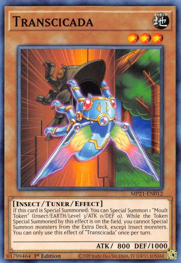 Transcicada