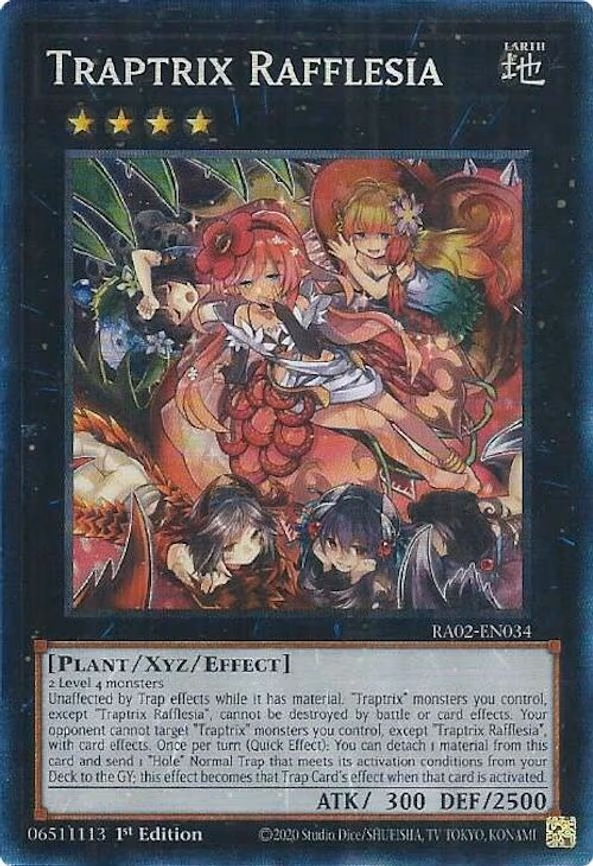 Traptrix Rafflesia