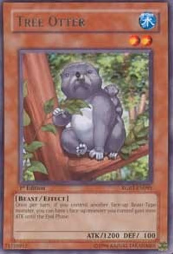 Tree Otter