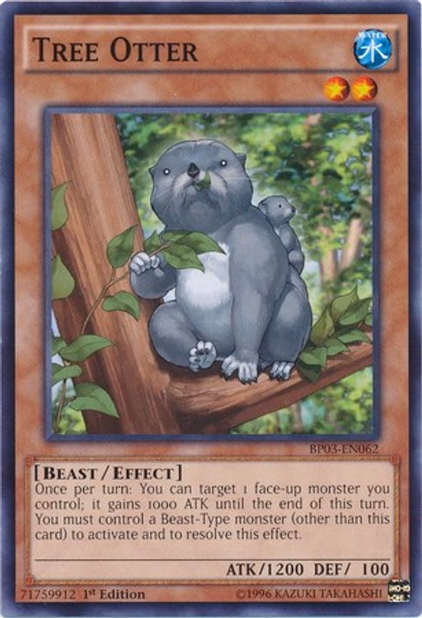 Tree Otter