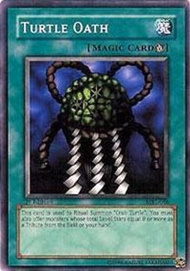 Turtle Oath
