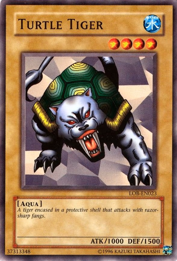 Turtle Tiger