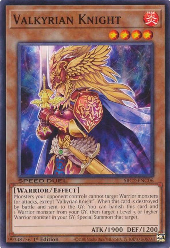 Valkyrian Knight
