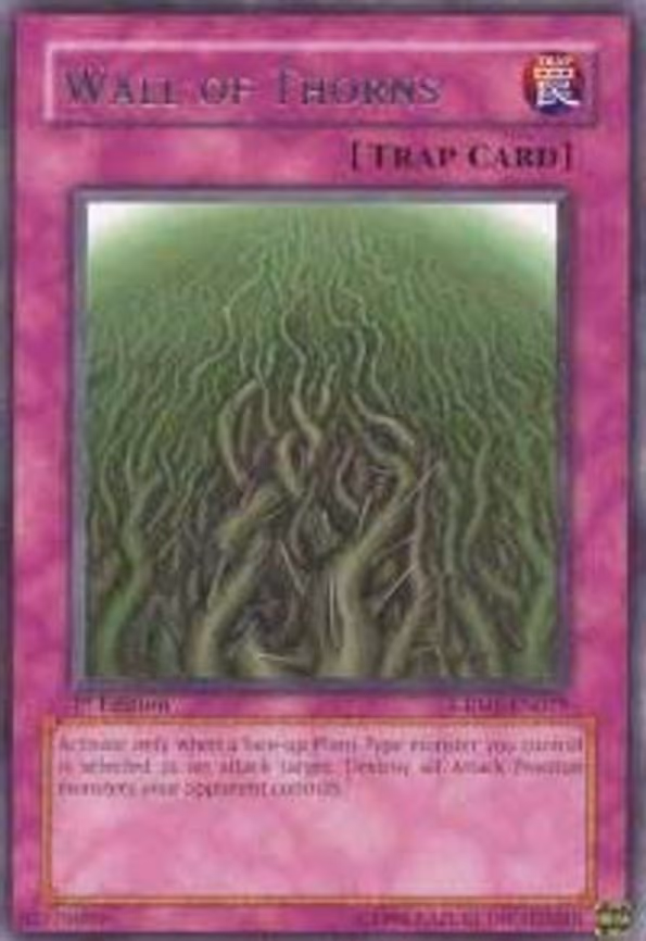 Wall of Thorns