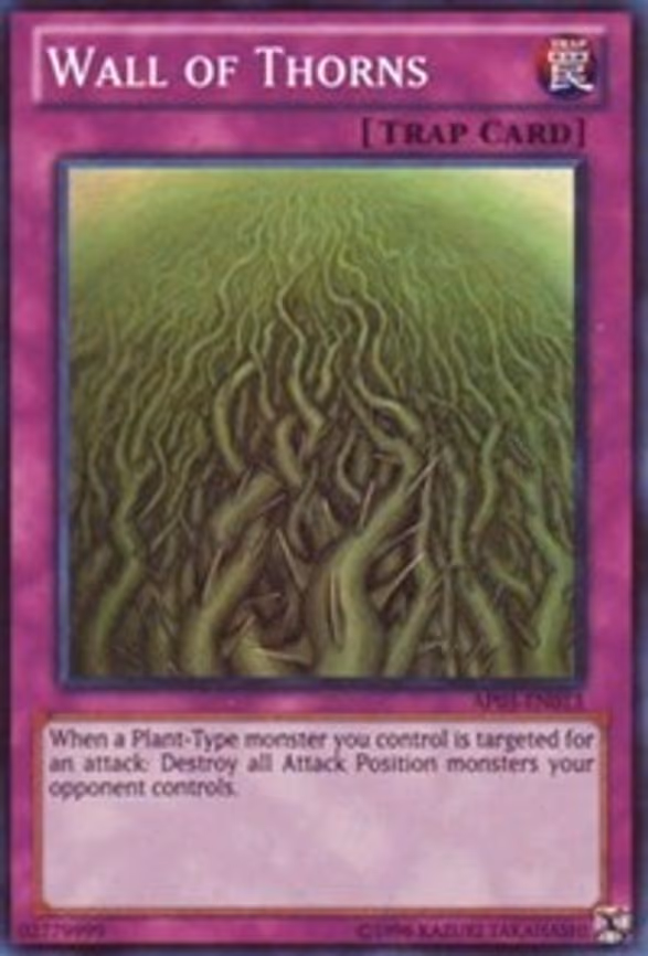 Wall of Thorns