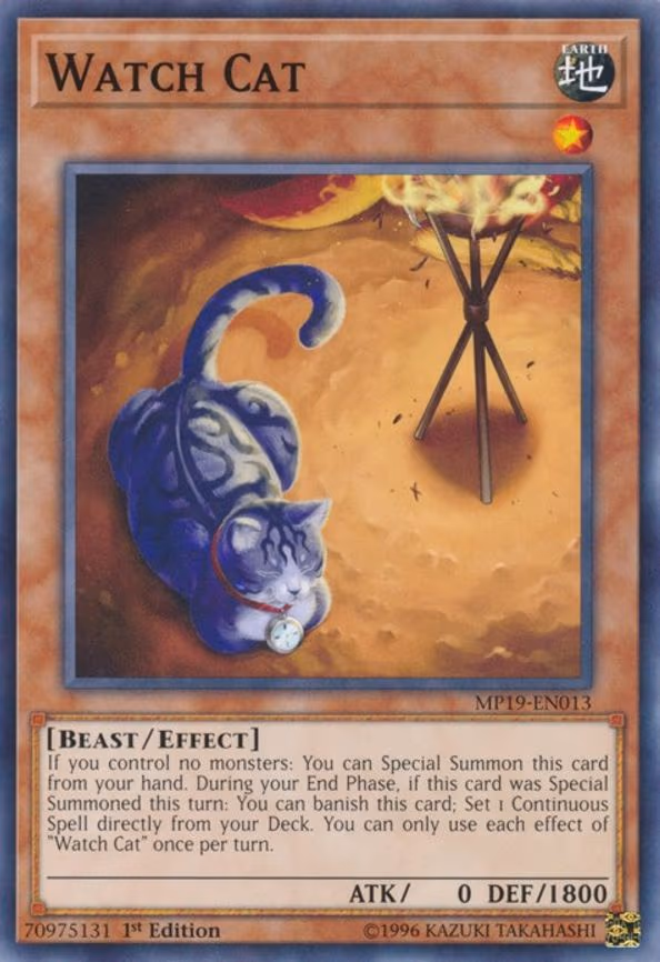 Watch Cat