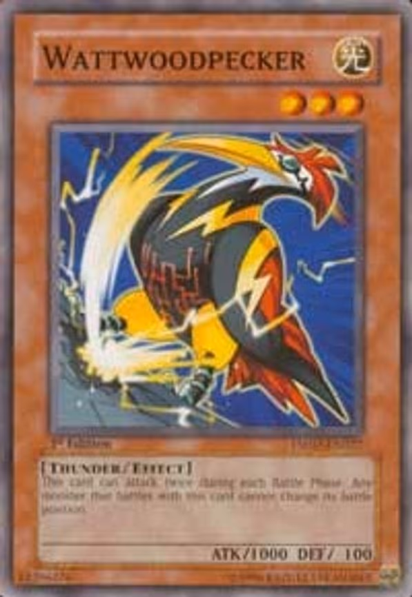 Wattwoodpecker