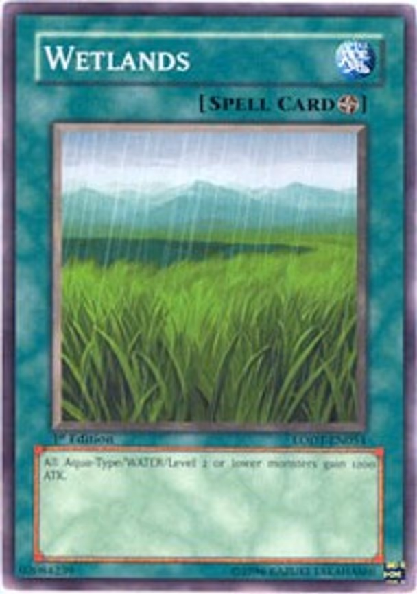 Wetlands
