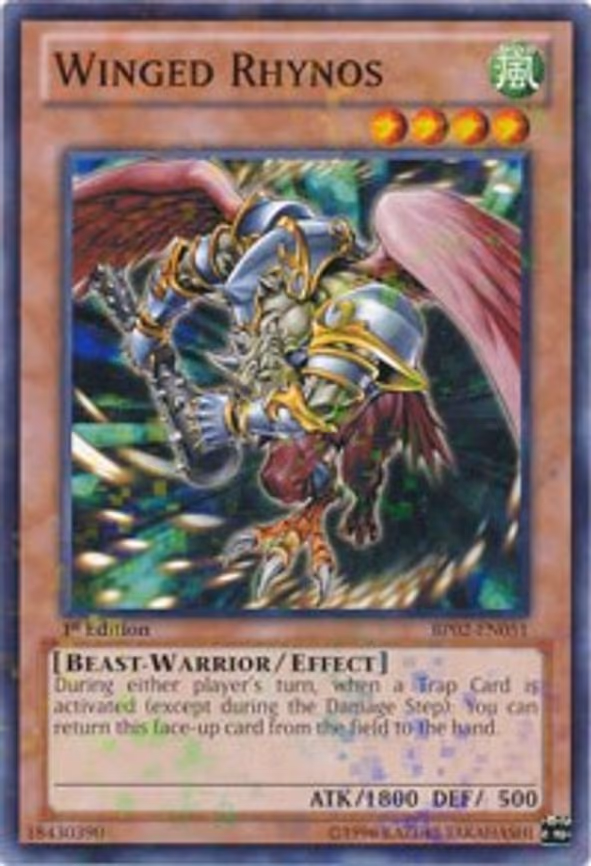 Winged Rhynos