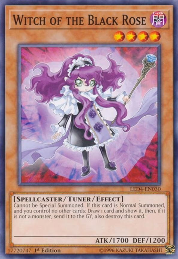Witch of the Black Rose
