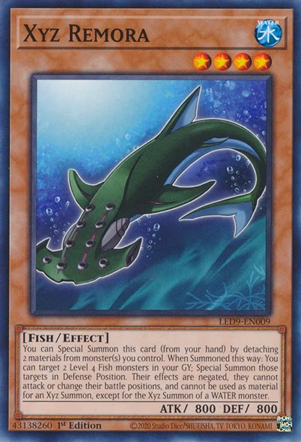 Xyz Remora