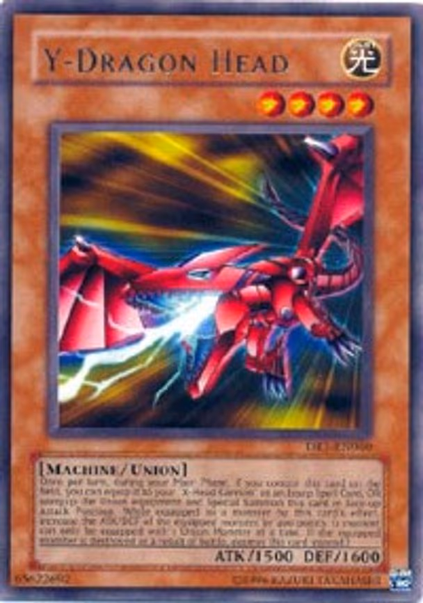 Y-Dragon Head
