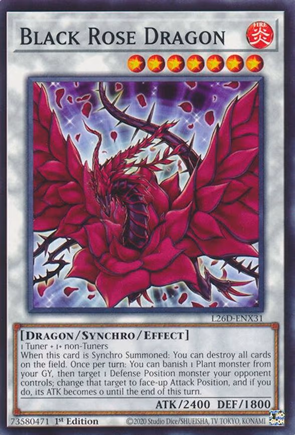 Black Rose Dragon