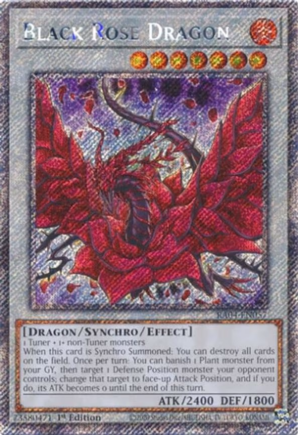 Black Rose Dragon