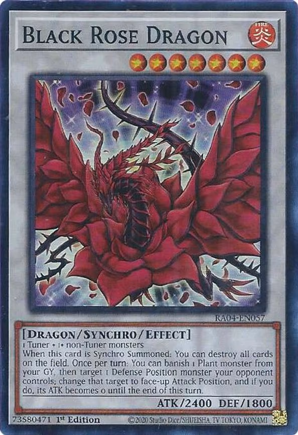 Black Rose Dragon