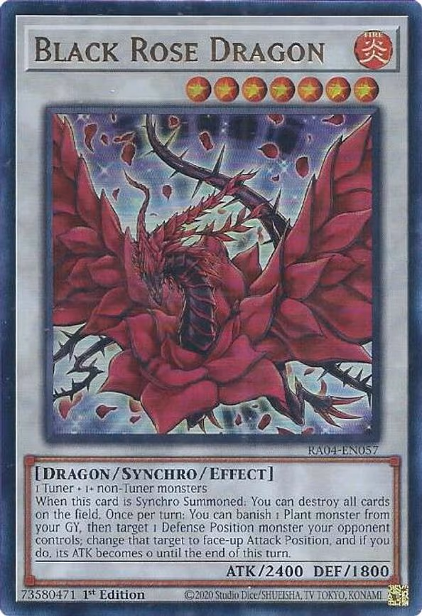 Black Rose Dragon