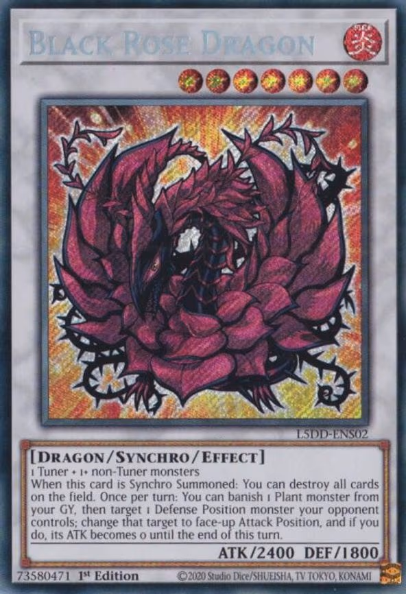 Black Rose Dragon