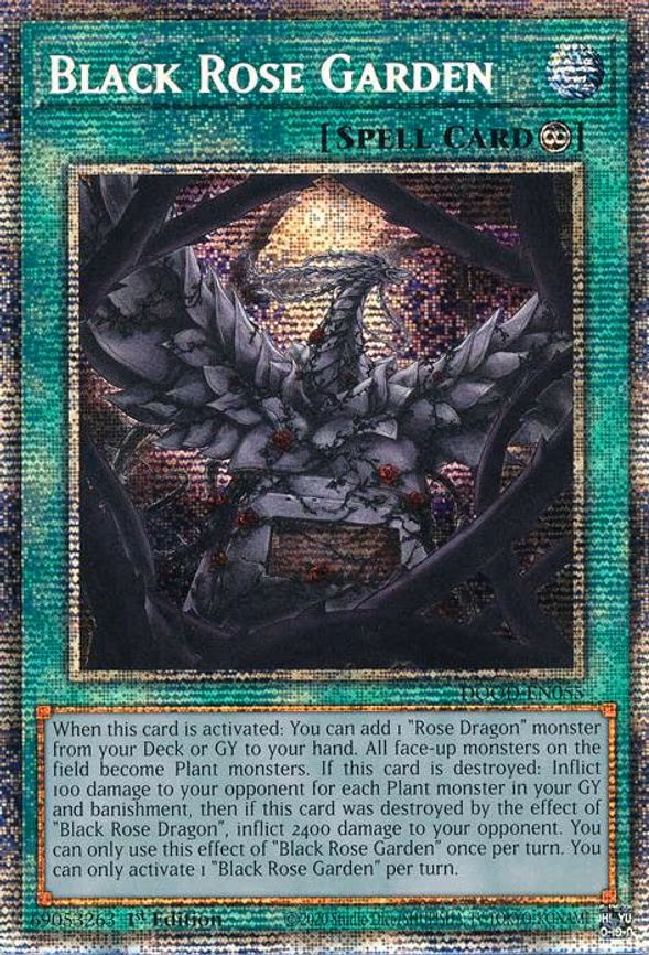 Black Rose Garden