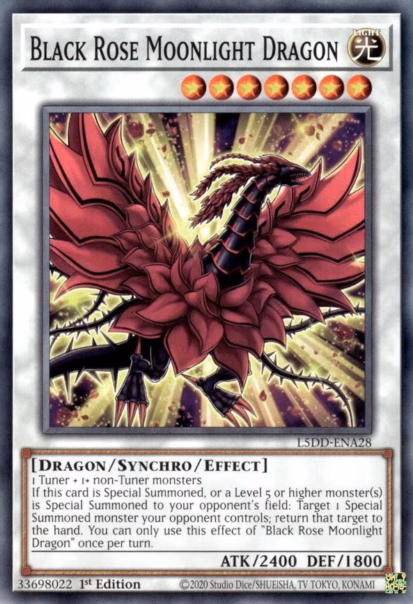 Black Rose Moonlight Dragon