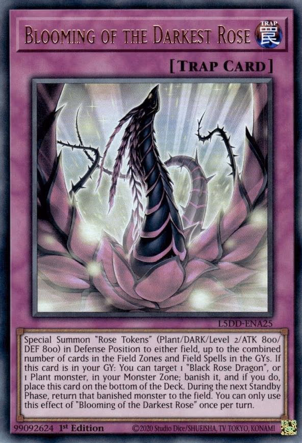 Blooming of the Darkest Rose