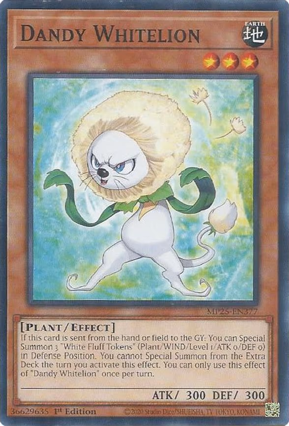 Dandy Whitelion