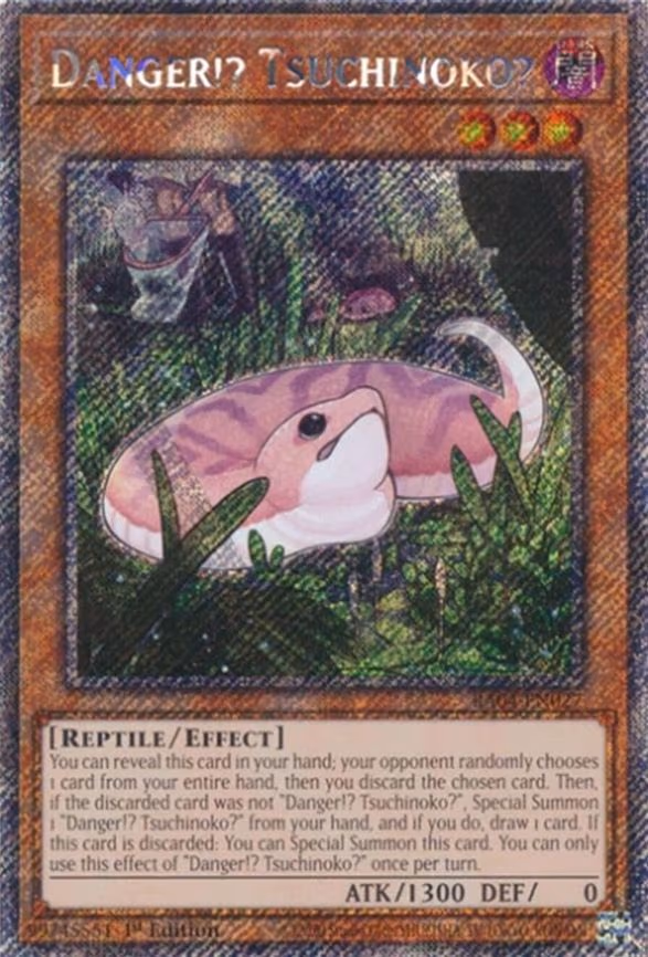 Danger!? Tsuchinoko?