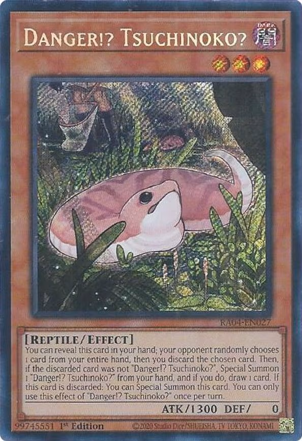 Danger!? Tsuchinoko?