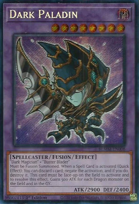Dark Paladin