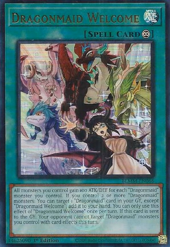 Dragonmaid Welcome