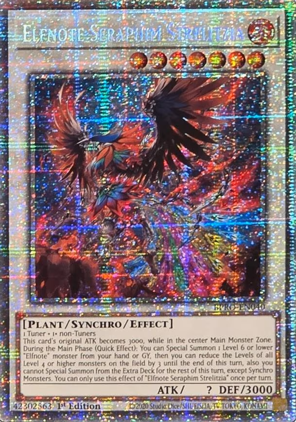 Elfnote Seraphim Strelitzia