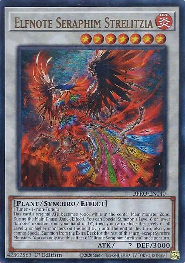 Elfnote Seraphim Strelitzia