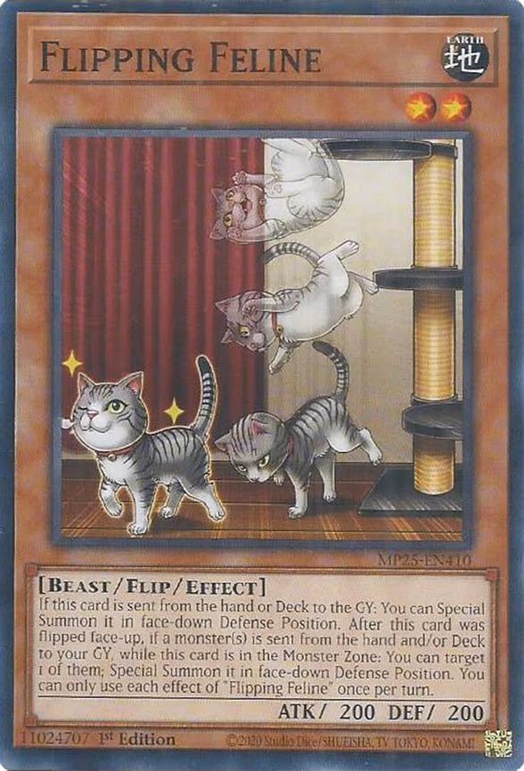 Flipping Feline