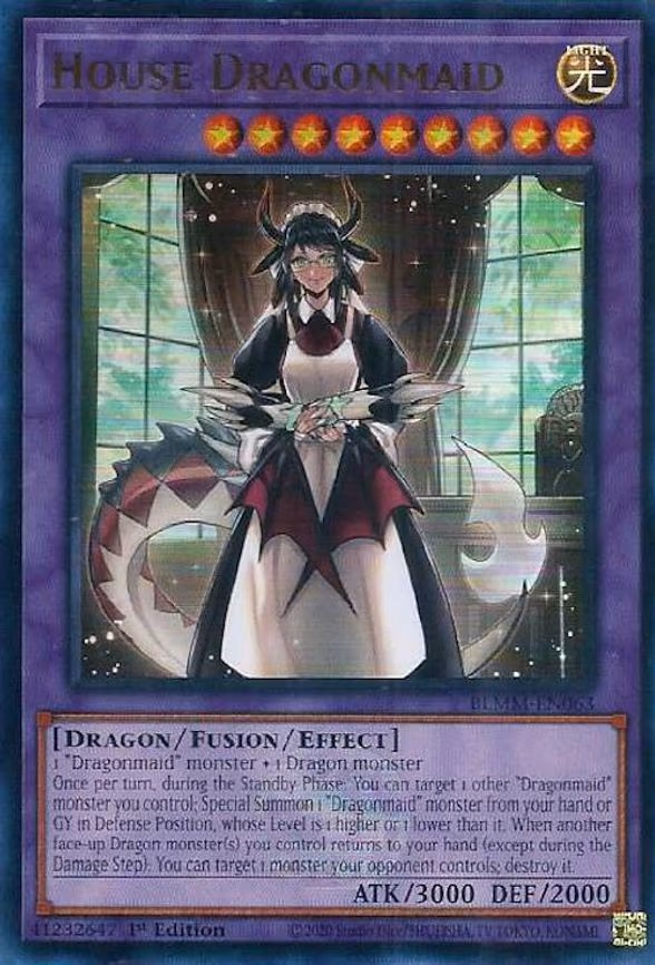 House Dragonmaid