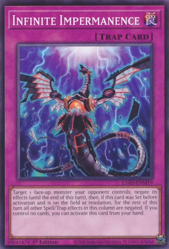 Infinite Impermanence