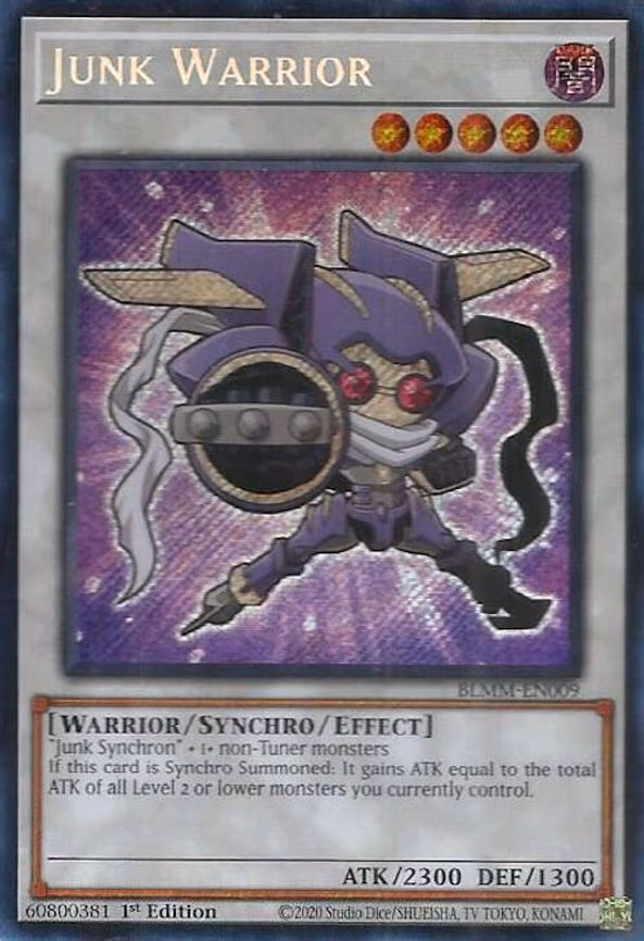 Junk Warrior