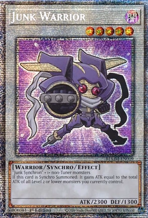 Junk Warrior