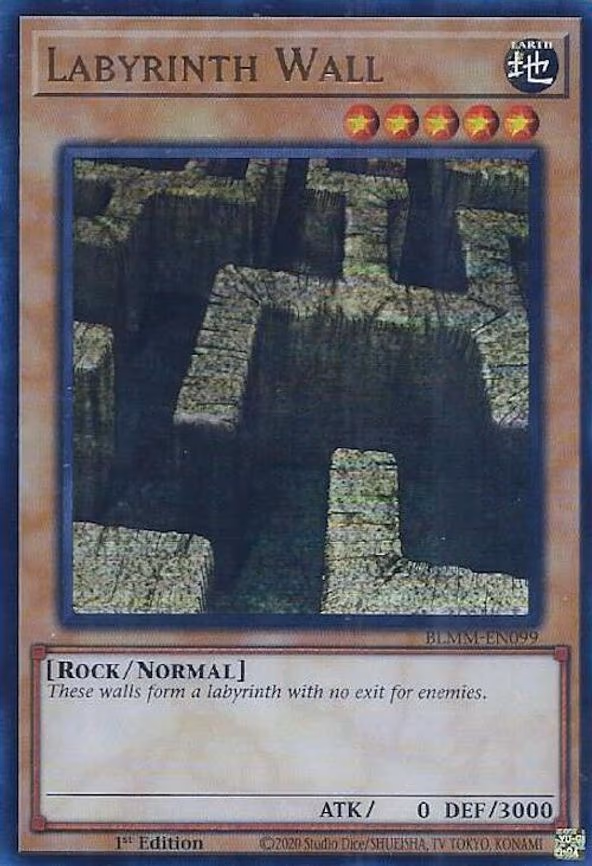 Labyrinth Wall