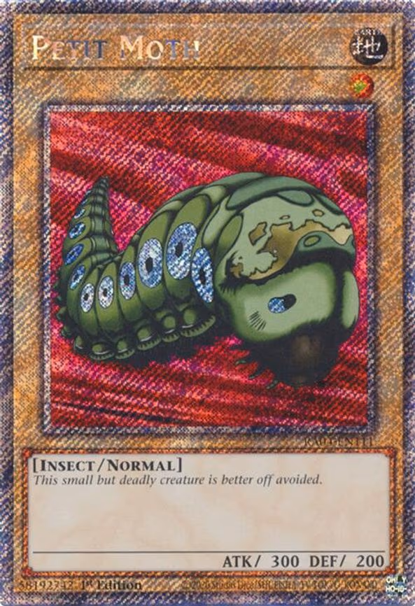 Petit Moth