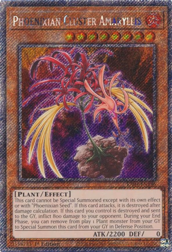 Phoenixian Cluster Amaryllis