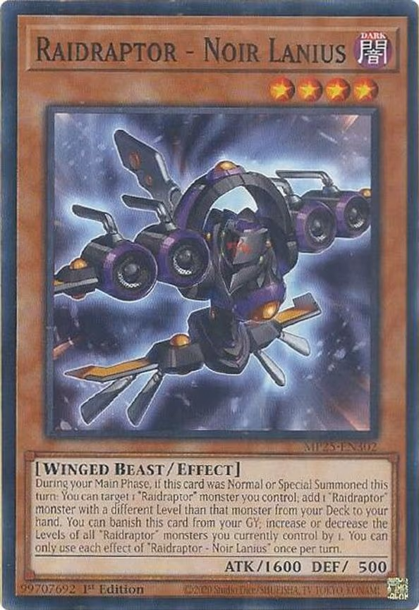 Raidraptor - Noir Lanius