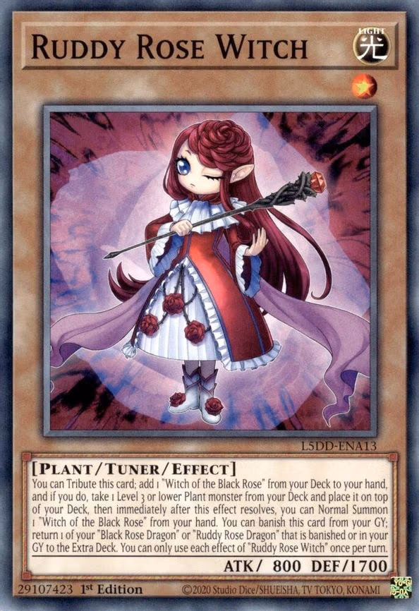 Ruddy Rose Witch