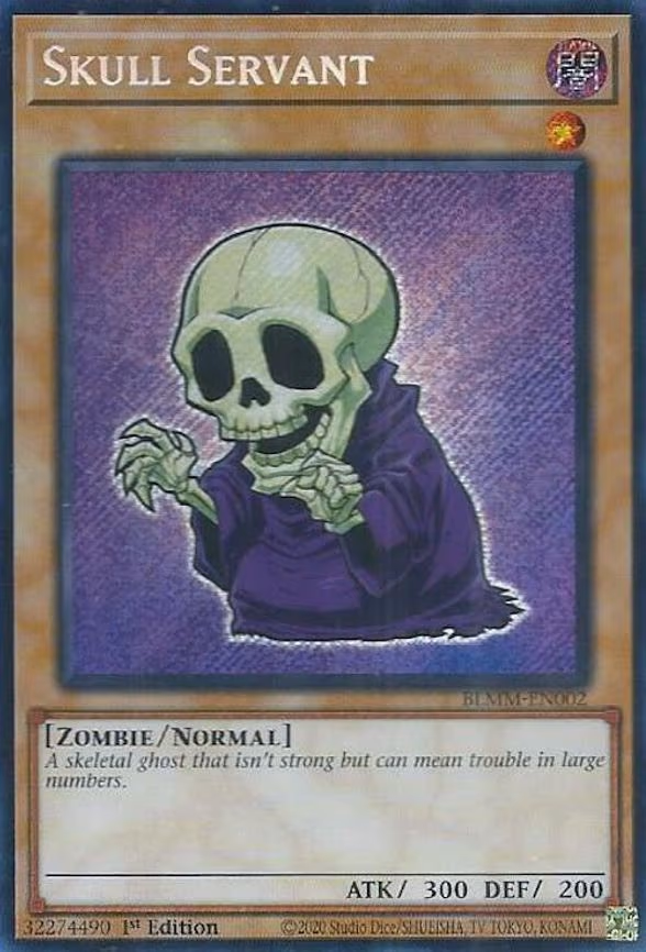 Skull Servant