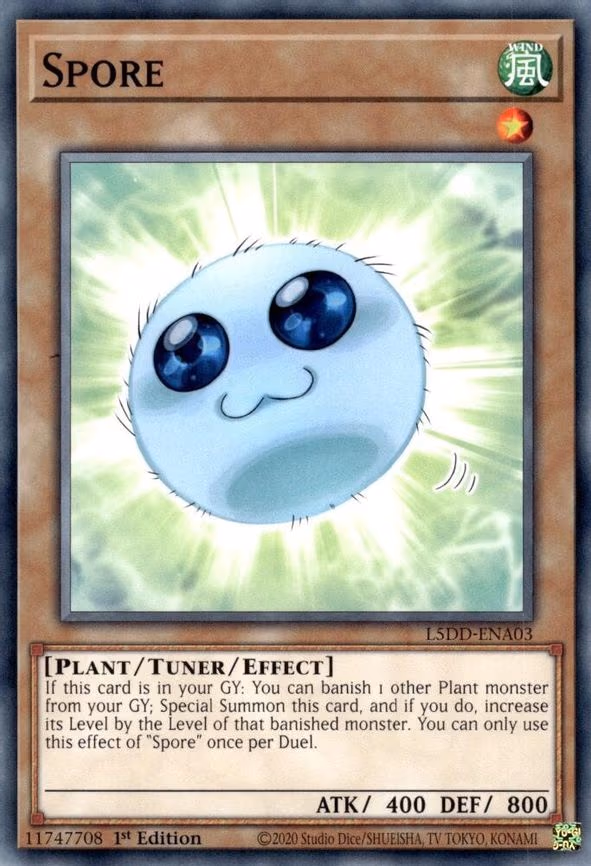 Spore