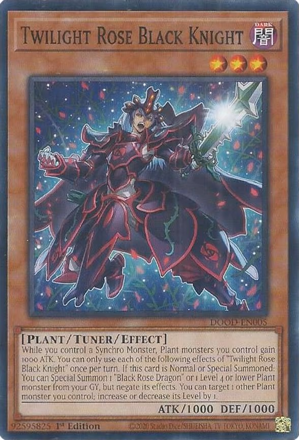 Twilight Rose Black Knight