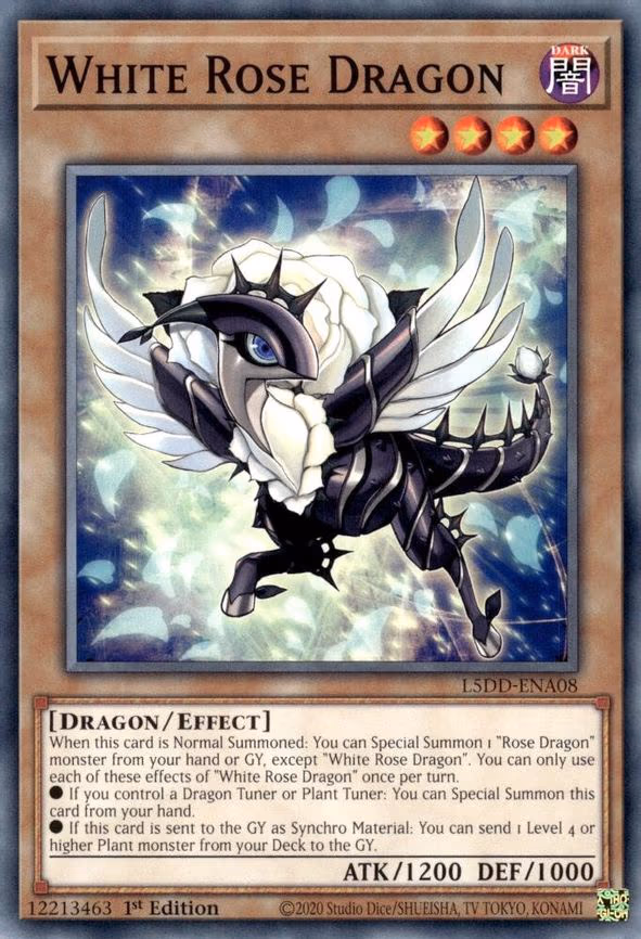 White Rose Dragon