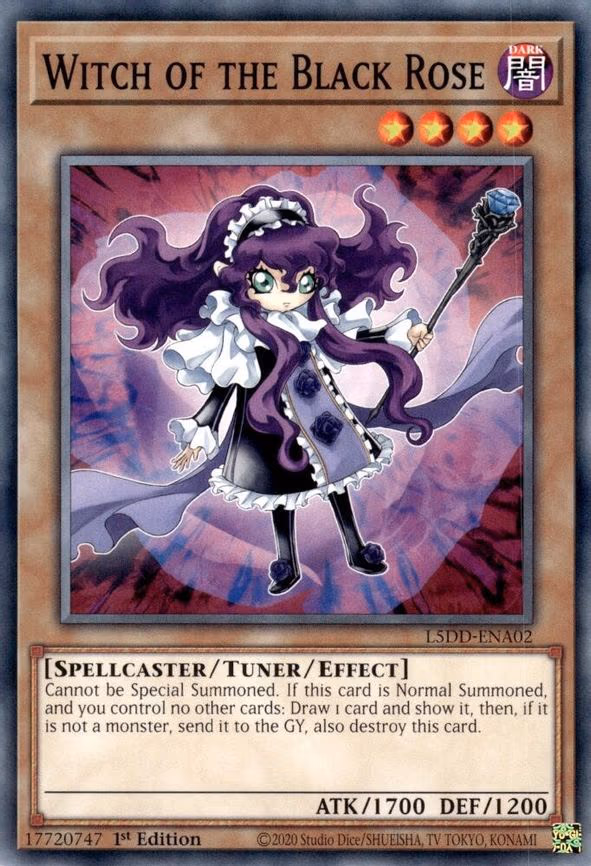 Witch of the Black Rose